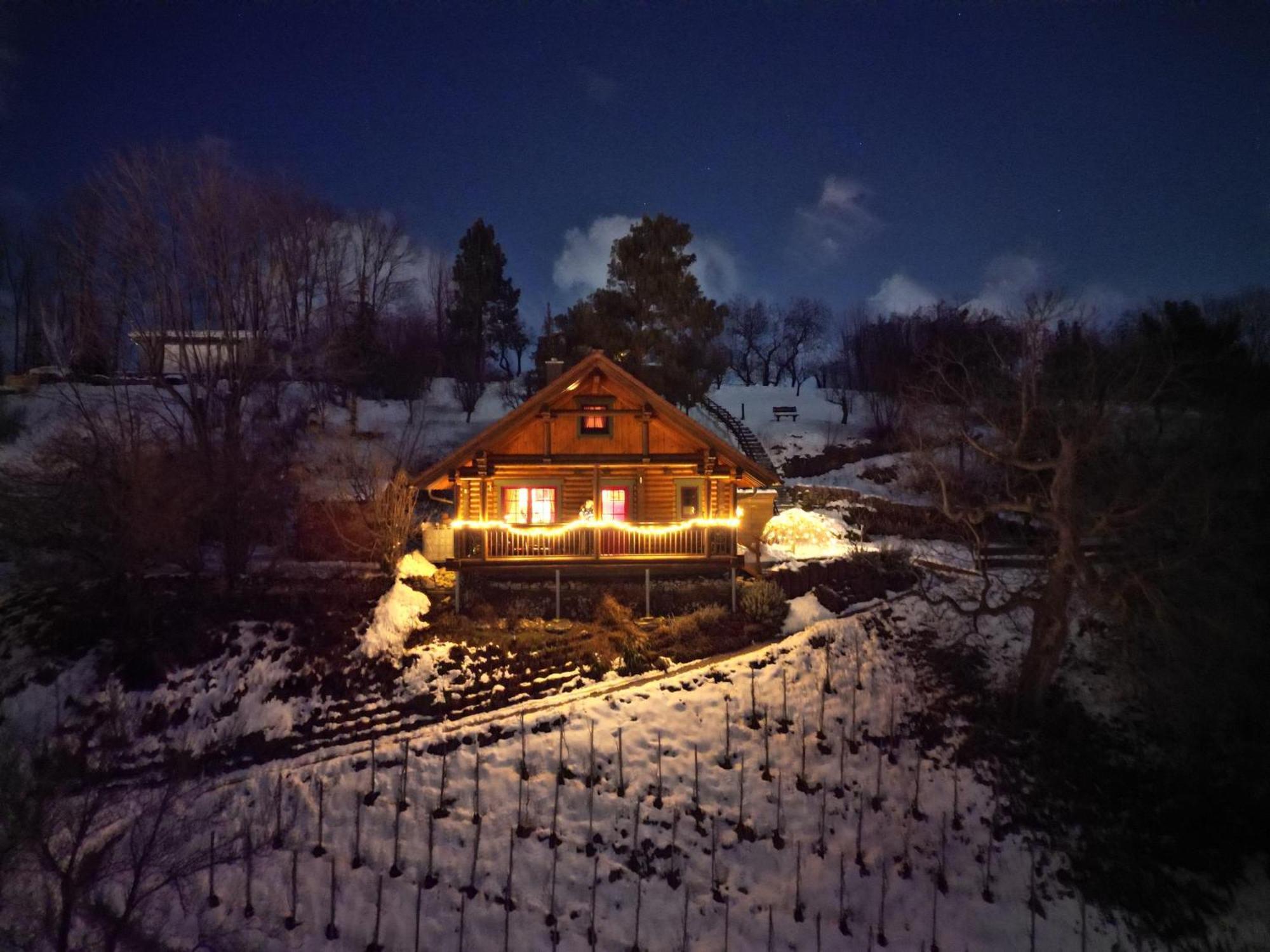 Hyggezeit-Im-Holzblockhaus-In-Wernigerode Villa Exterior photo